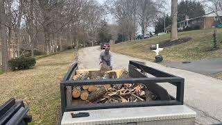 Free Oak Firewood - You have to work for it!