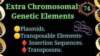 Extra Chromosomal Genetic Elements #microbiology #chromosome #dna #plasmid #vbs @EnteMicrobialWorld