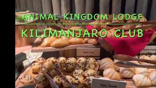 Kilimanjaro Club at Disney’s Animal Kingdom Lodge Complete Tour !  Best Club Level On Property.