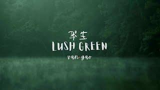 Lush Green - 1 hour Ambient Music for Relaxation, Deep sleep, Spa, Yoga, Meditation.