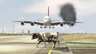 COW Accidently Came During Airplane Landing]