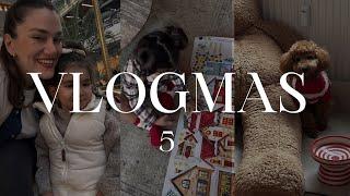 VLOGMAS 5 Ev halimiz, Yılbaşı süslerine devam, Leo'yu yıkıyoruz