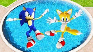 GTA 5 Sonic & Tails Jumping Into Pool (Euphoria Physics/Ragdolls)