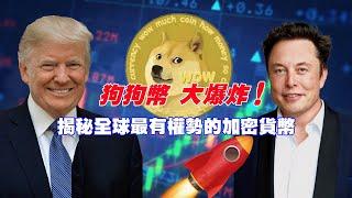 你不可不認識的全世界最有權利的狗 - Doge | 狗狗幣大爆炸：揭秘全球最有權勢的加密貨幣！