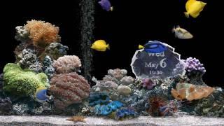 MarineAquariumTime HD