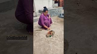 minivlog#342‍️ மொசுகட்டை தந்தூரி #shorts #shortsfeed #trending #viral #muthulakki