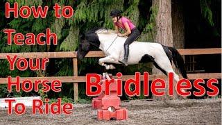 How to Teach Your Horse to Ride TACKLESS