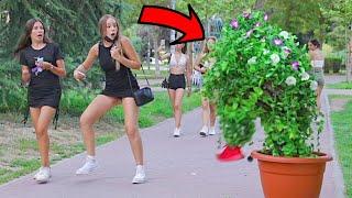 BUSHMAN PRANK: SCARES IN MADRID !!!