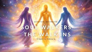 Soul Walkers : The Walk Ins - Quantum Ascension