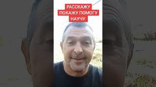 ЗАРАБАТЫВАЙТ Е НА СВОЮ КАРТУ  #деньгивинтернете #бесплатноеобучение #наличка #доллор