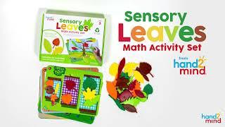 Sensory Leaves Maths Activity Set by Hand2Mind