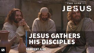 Jesus Gathers Followers | The Life of Jesus | #3