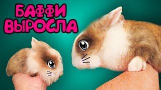 КАК РОСЛА КРОЛЯ БАФФИ ! Кот Малыш и Кошка Мурка! Приколы С КОТАМИ И КРОЛИКОМ БАФФИ! Смешные коты