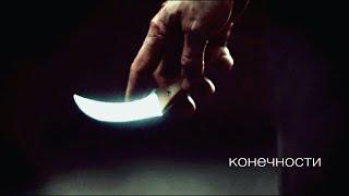 конечности | hannigram