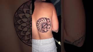 #australia #tattoo #ink #inked #tattooprocess #tattooideas #tattoojourney