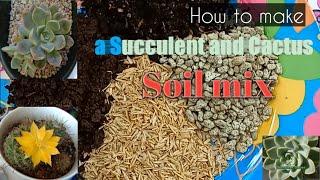 How to make a Succulent and Cactus Soil mix