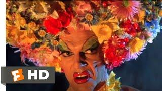 The Adventures of Priscilla, Queen of the Desert (1994) - I Will Survive Scene (4/8) | Movieclips