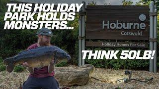 Monster-sized carp live in this holiday park! 