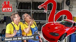 Mit Werner an der Viper  | Airbag-OP am 8-Liter-Monster & Komische Lenkgeräusche am BMW 118i