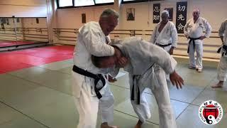 Remember that juji uke from the heian kata? If you had no time to waste, how would you apply it?