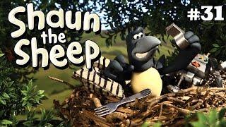 Magpie | Shaun the Sheep Season 2 | Full Episode