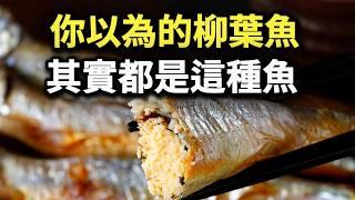 日本漁協頭痛！87%的「柳葉魚」其實是別種魚，一般人更是一輩子沒吃過真正的柳葉魚 中秋烤肉 樺太柳葉魚 多卵魚 多春魚 シシャモ ししゃも shishamo capelin