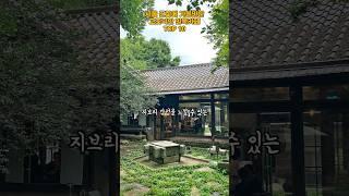 서울 근교에 가볼만한 고즈넉한 한옥카페 TOP 10   #여행 #맛집 #카페 #한옥카페 #서울근교카페 #서울근교 #cafe #trip