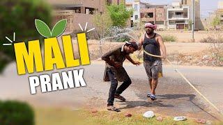 | Mali Prank | By Nadir Ali in | P 4 Pakao | 2020