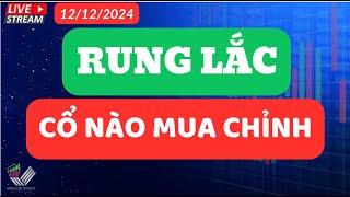 Nhận Định Thị Trường 12/12 | Nên Mua Cổ PHiếu Nào Khi Chỉnh ?