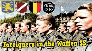 The Foreign Soldiers of the Waffen SS | Why? | 3 Reasons