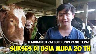 USIA 20 TAHUN MAMPU PELIHARA SAPI PULUHAN EKOR DAN SUKSES KIRIM SAPI HINGGA KALIMANTAN