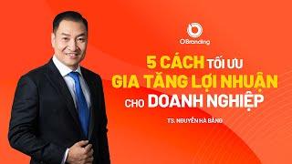 5 CÁCH TỐI ƯU ĐỂ GIA TĂNG LỢI NHUẬN CHO DOANH NGHIỆP