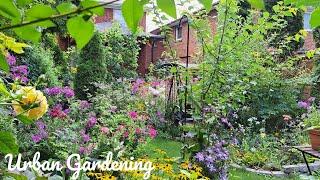 Enjoying & Relaxing In My Urban Garden | Summer Garden Tour