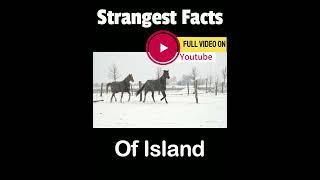 Iceland Shocking Facts #iceland #icelandadventure #icelandtravel #country #shocking #facts #tourism