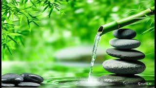 Relaxing Music with Water Sounds & Birdsong | Deep Sleep, Stress Relief, Meditation Healing