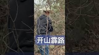 为修建Hiking trail做准备工作