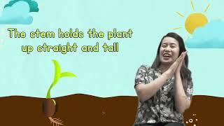 Parts of a Plant Song | Roots, Stem, Leaves, Flower | Schoolville Green Day