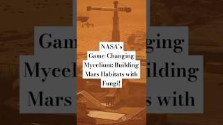 NASA’s Game-Changing Mycelium: Building Mars Habitats with Fungi! #nasa #facts #fungi #mars