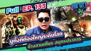 มูทั้งทีต้องใหญ่ระดับโลก ช้างสามเศียร สมุทรปราการ | คชาภาพาไปมู Ep 133