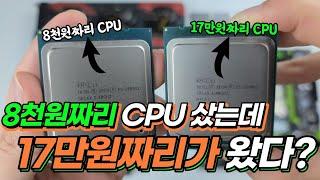 8천원짜리 살려다가 17만원짜리 CPU 받아서 신났습니다