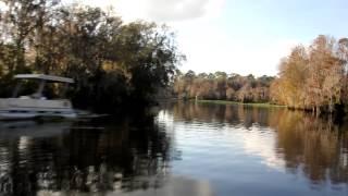 withlacoochee river and rainbow river  air boat cruising