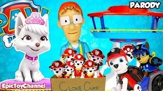 PAW PATROL Nickelodeon Mission Paw & Paw Patrol Sea Patrol Sweetie Clones Marshall Epic Toy Channel