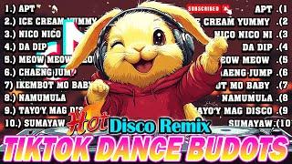 New VIRAL TIKTOK DISCO PARTY 2024 - NEW TIKTOK BUDOTS DANCE REMIX 2024