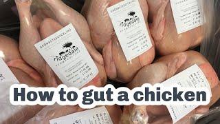 HOW TO GUT A CHICKEN