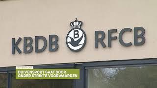 De Belgische Reisduif - Nieuwsitem - Duivenseizoen 2021 gaat door