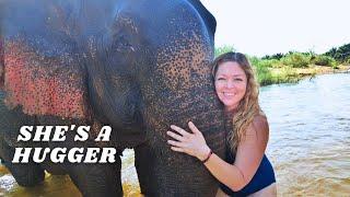 Southern Thailand's BEST Elephant Experience In Phang Nga *I Learned SO Much*