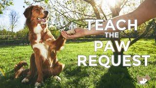 Teach your dog 'PAW'