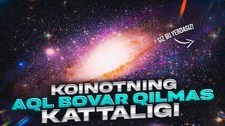 KOINOTNING AQLGA SIG'MAS KATTALIGI