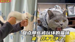 爆笑：盘点那些被玩坏的猫咪，猫：我不是人，但你们是真的狗！