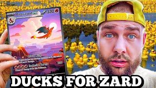 Feeling Cute Might Race Ducks For 151 SIR Charizard + LIVE Pokemon Store
